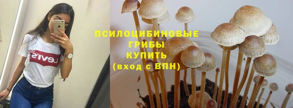 дурь Каменногорск