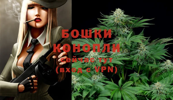 ГАЛЛЮЦИНОГЕННЫЕ ГРИБЫ Иннополис
