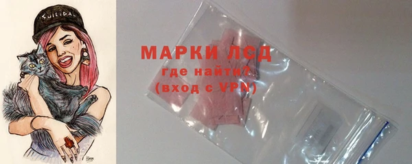 ГАЛЛЮЦИНОГЕННЫЕ ГРИБЫ Иннополис