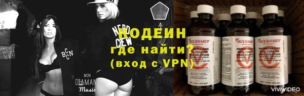МДПВ Инта