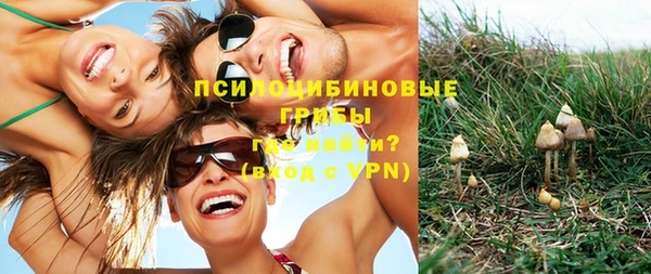 ГАЛЛЮЦИНОГЕННЫЕ ГРИБЫ Иннополис