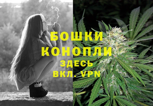 МДПВ Инта