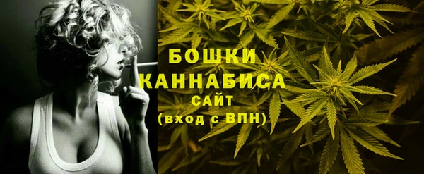 МДПВ Инта