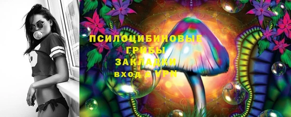 ГАЛЛЮЦИНОГЕННЫЕ ГРИБЫ Иннополис