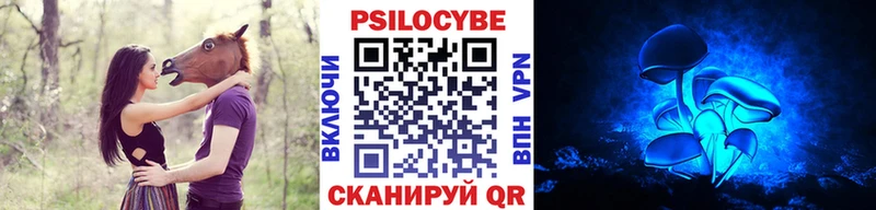 Купить  Навашино  Псилоцибиновые грибы GOLDEN TEACHER 