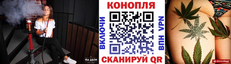 Бошки Шишки Amnesia  Купить закладки  Навашино 